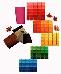 Exciting New Fall fashion colors
